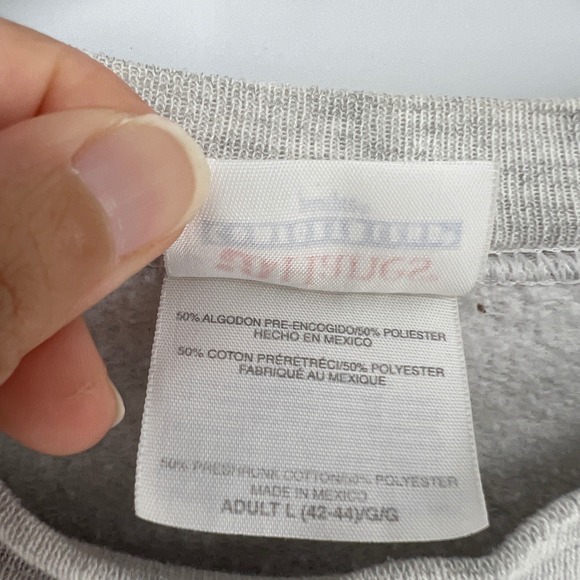 Vintage San Diego Chargers Sweatshirt Mens Large Hanes 2006 AFC West Champs Gray - Picture 12 of 13